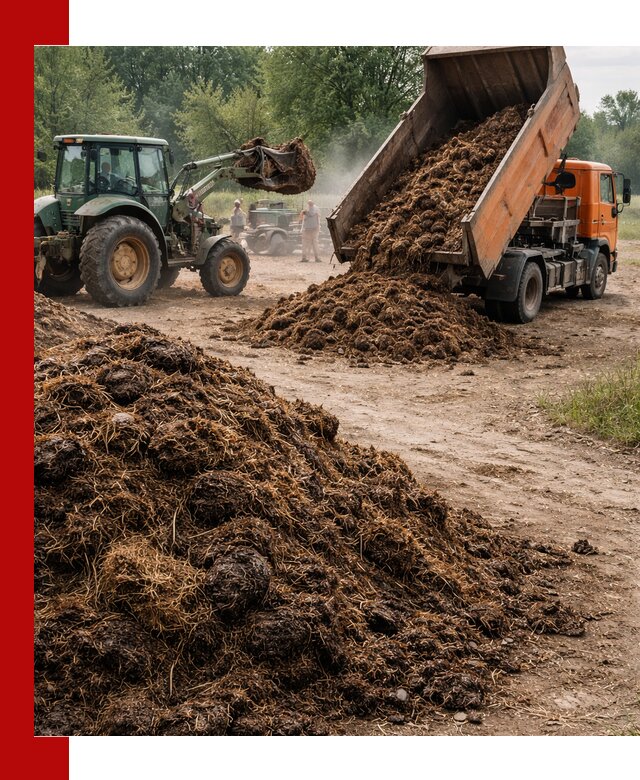 Доставка навоза самосвалами в Шуе для сельхозпотребностей